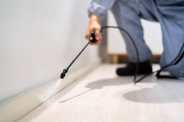 Licensed Cockroach Control service in Franklin, LA - Nex Pest Control