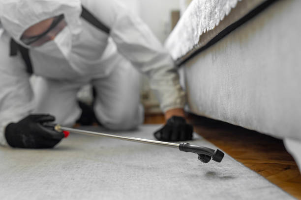 Professional Cockroach Control technician working in Franklin, LA