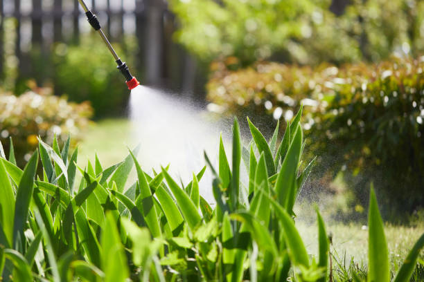 24/7 Emergency Cockroach Control experts in Franklin, LA