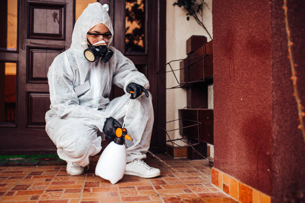 Reliable Cockroach Control contractor in Franklin, LA by Nex Pest Control